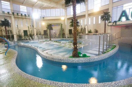 Best Promo: Ace Water Spa for 4 Hours All Facilities Access in Pasig & Banawe: Discover Ultimate Relaxation