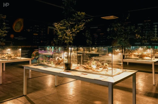 20%Off All-Access Day Pass at the Biggest and Newest Science Museum in the Country MindSpark at Ayala Malls Manila Bay Paranaque City