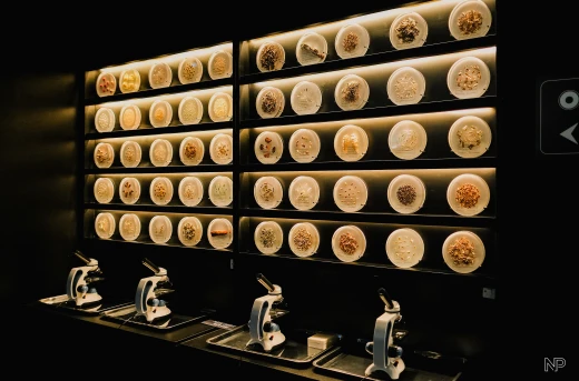 20%Off All-Access Day Pass at the Biggest and Newest Science Museum in the Country MindSpark at Ayala Malls Manila Bay Paranaque City