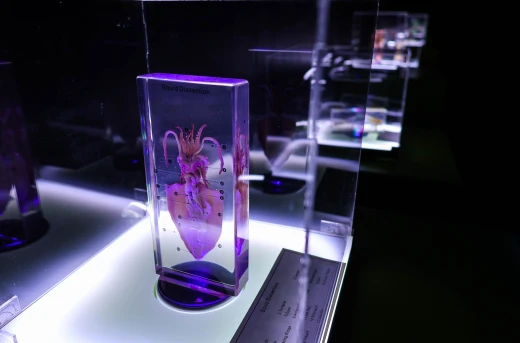 50%Off Enjoy a 2-hour Adventure of Exciting Experiments and Interactive Displays That Make Science Fun For All Ages at Science XPdition Ayala Center Cebu