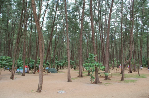 55%Off Enjoy a 2D/1N Stay at Anawangin Camp Island  in Zambales with Island Hopping in Camara Island starting at P899/P2000