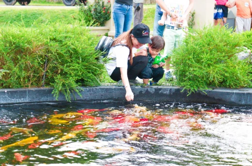 Day Pass Access with Exciting Fun, Activities and Adventure Awaits at Batangas Lakelands Starting P299