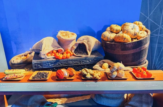 35% Off Museo del Galeón All-Day Pass at SM MOA Pasay: Step into a full-scale Manila Galleon inside a museum