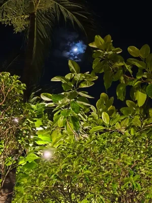 80% Off 1-Month Gold's Gym Membership for P699 instead of P3500 or 3, 6, 12 Months Memberships valid at Cubao, Galleria, Xavier, Robinsons Novaliches etc.