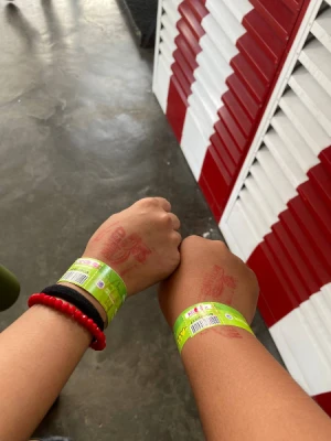 87% Off Ride-All-You-Can Skyranch Tagaytay Promo 15 Rides P379 instead of P2980 Valid Daily & Holidays