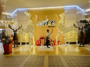 Best Promo: Ace Water Spa for 4 Hours All Facilities Access in Pasig & Banawe: Discover Ultimate Relaxation