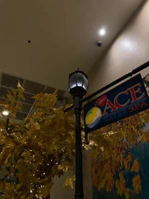 Best Promo: Ace Water Spa for 4 Hours All Facilities Access in Pasig & Banawe: Discover Ultimate Relaxation