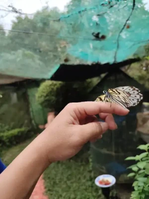 20%Off From P199 instead of P249 Paradizoo Theme Park Entrance Ticket in Tagaytay with Access to 8 Attractions