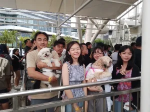 90%Off SM By the Bay Amusement Park Ride All You Can Promo at MOA for P259 instead of P2660 Valid Daily & Holidays with Grand Fireworks Today Dec. 25, 2025 at 7pm