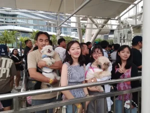 90%Off SM By the Bay Amusement Park Ride All You Can Promo at MOA for P259 instead of P2660 Valid Daily & Holidays with Grand Fireworks Today Dec. 25, 2025 at 7pm