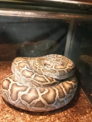 20%Off From P199 instead of P249 Zoori with Access to 8 Attractions, Free for Kids 3ft and below