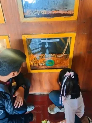 20%Off From P199 instead of P249 Zoori with Access to 8 Attractions, Free for Kids 3ft and below