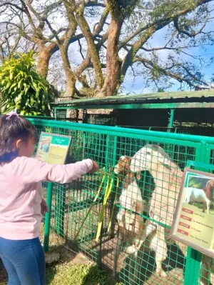 20%Off From P199 instead of P249 Zoori with Access to 8 Attractions, Free for Kids 3ft and below