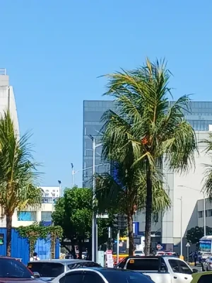 90%Off SM By the Bay Amusement Park Ride All You Can Promo at MOA for P299 instead of P2990 Valid Daily & Holidays