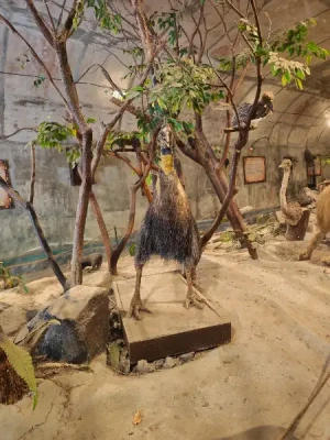 50%Off P450 instead of P895 Zoobic Safari Entrance Ticket in Subic with Access to 8 Attractions & Tiger Safari, Baby Lion & Croco Encounter, Kids below 3ft are FREE