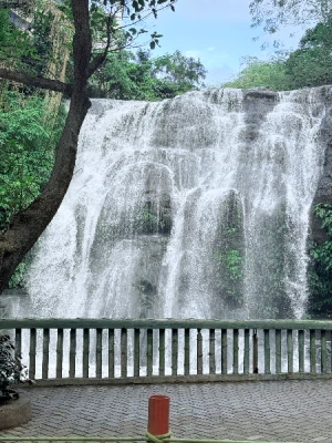 P499 instead of P688 International Brunch Buffet or P849 instead of P1299 Lunch Buffet at Ace Water Spa Pasig & Unli Fresh Juices & Coffee