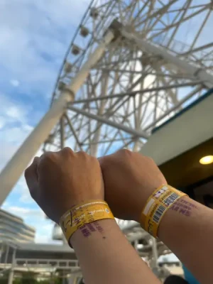 90%Off SM By the Bay Amusement Park Ride All You Can Promo at MOA for P259 instead of P2660 Valid Daily & Holidays