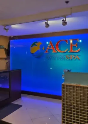 Best Promo: Ace Water Spa for 4 Hours All Facilities Access in Pasig & Banawe: Discover Ultimate Relaxation