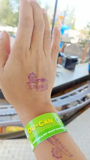 87% Off Ride-All-You-Can Skyranch Tagaytay Promo 15 Rides P379 instead of P2980 Valid Daily & Holidays