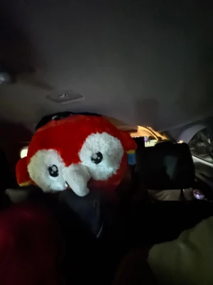 90% Off Skyranch Pampanga Ride All You Can Promo for P299 instead of P2990 Valid Daily & Holidays