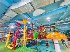 44%Off Wetpark Adventure Lagoon at Venice Grand Kanal Mall in McKinley Hill for 1 Child and 1 Adult