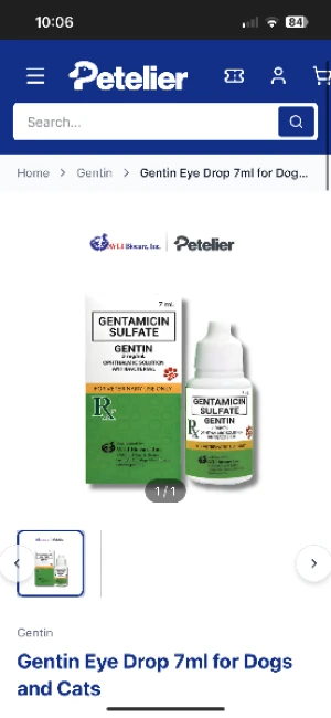21% Off Ice Skating at SM MOA, Megamall: Enjoy a 2-Hours Ice Skating Pass including Shoes & Helmet