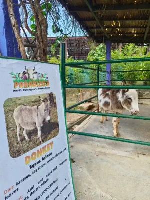 20%Off From P199 instead of P249 Paradizoo Theme Park Entrance Ticket in Tagaytay with Access to 8 Attractions