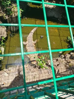 20%Off From P199 instead of P249 Zoori with Access to 8 Attractions, Free for Kids 3ft and below