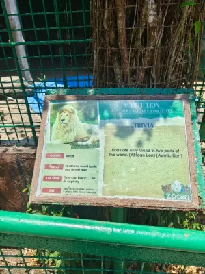 20%Off From P199 instead of P249 Zoori with Access to 8 Attractions, Free for Kids 3ft and below