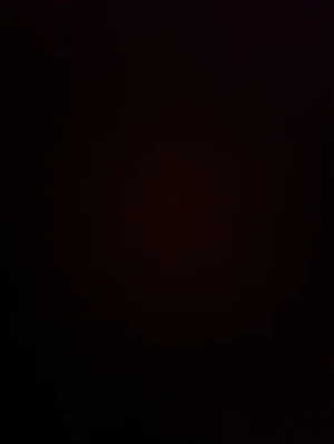 50%Off Enjoy 4-Hours Playtime at Dino Adventure: Fairview, Alabang, The Outlets for P499 instead of P998