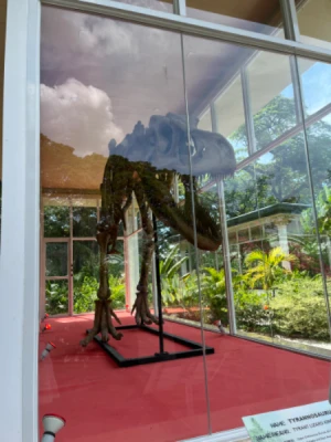 28%Off: P899 instead of P1250 for Entrance to Clarkland Dinosaur Island, Insectlandia, Wonders of the World, Jurassic Jungle Safari, 7D Superscreen, Picnic Grounds