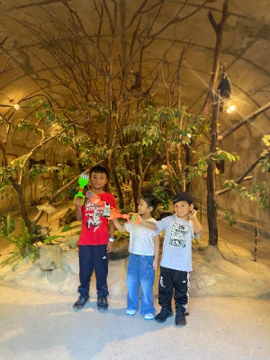 50%Off P450 instead of P895 Zoobic Safari Entrance Ticket in Subic with Access to 8 Attractions & Tiger Safari, Baby Lion & Croco Encounter, Kids below 3ft are FREE