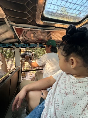 50%Off P450 instead of P895 Zoobic Safari Entrance Ticket in Subic with Access to 8 Attractions & Tiger Safari, Baby Lion & Croco Encounter, Kids below 3ft are FREE