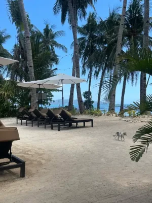 51% Off Enjoy Your Stay for 4 Persons with Breakfasts and Sunset View at the Beach Front Microtel by Wyndham Boracay