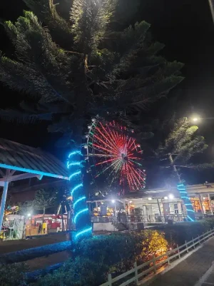 87% Off Ride-All-You-Can Skyranch Tagaytay Promo 15 Rides P379 instead of P2980 Valid Daily & Holidays
