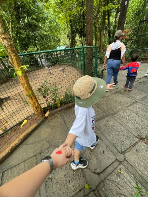 50%Off P450 instead of P895 Zoobic Safari Entrance Ticket in Subic with Access to 8 Attractions & Tiger Safari, Baby Lion & Croco Encounter, Kids below 3ft are FREE