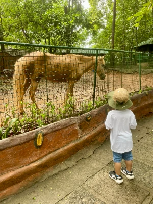 50%Off P450 instead of P895 Zoobic Safari Entrance Ticket in Subic with Access to 8 Attractions & Tiger Safari, Baby Lion & Croco Encounter, Kids below 3ft are FREE