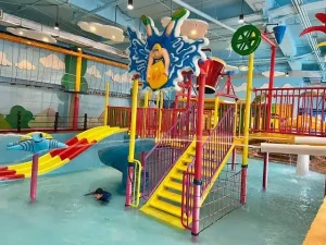 44%Off Wetpark Adventure Lagoon at Venice Grand Kanal Mall in McKinley Hill for 1 Child and 1 Adult