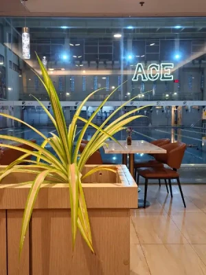 Best Promo: Ace Water Spa for 4 Hours All Facilities Access in Pasig & Banawe: Discover Ultimate Relaxation
