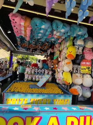 90% Off Skyranch Pampanga Ride All You Can Promo for P299 instead of P2990 Valid Daily & Holidays