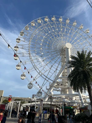 90% Off Skyranch Pampanga Ride All You Can Promo for P299 instead of P2990 Valid Daily & Holidays