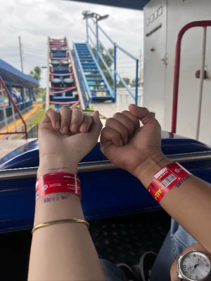 87% Off Skyranch Pampanga Ride All You Can Promo for P279 instead of P2210 Valid Daily & Holidays