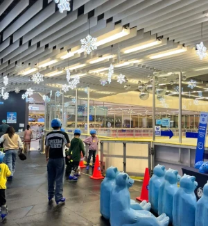 21% Off Ice Skating at SM MOA, Megamall, Cebu: Enjoy a 2-Hours Ice Skating Pass starting at P278 instead of P350