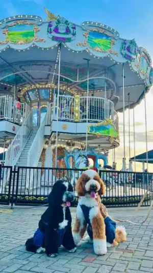 87% Off Ride-All-You-Can Skyranch Tagaytay Promo 15 Rides P379 instead of P2980 Valid Daily & Holidays