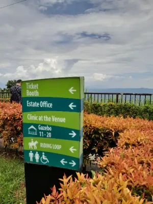 87% Off Ride-All-You-Can Skyranch Tagaytay Promo 16 Rides P379 instead of P2980 Valid Daily & Holidays